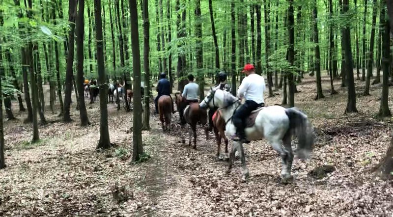 Lucky Horse Endurance - Cursuri de calarie