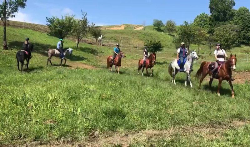 Lucky Horse Endurance - Cursuri de calarie