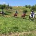 Lucky Horse Endurance - Cursuri de calarie